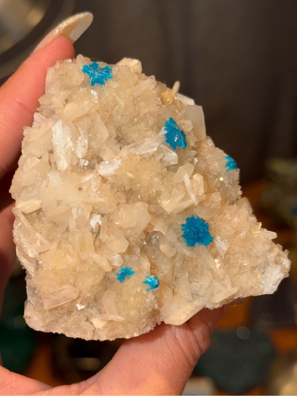 Canvansite - Picture 3 of 3